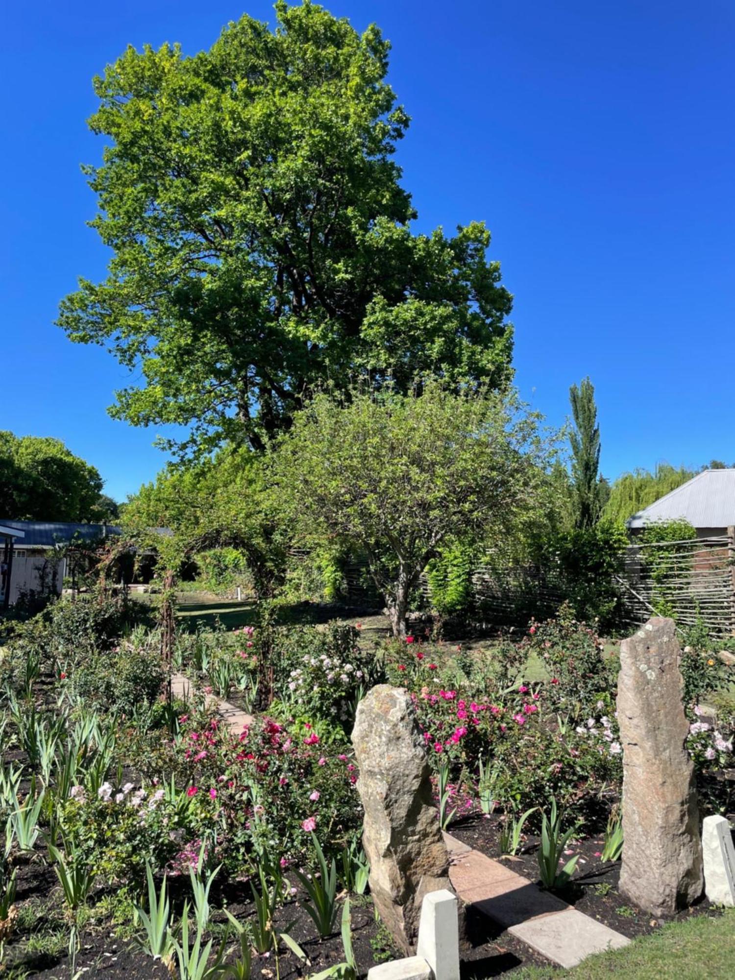 Periwinkle, Grove ,Acorn & Sage Cottages Clarens Exterior foto