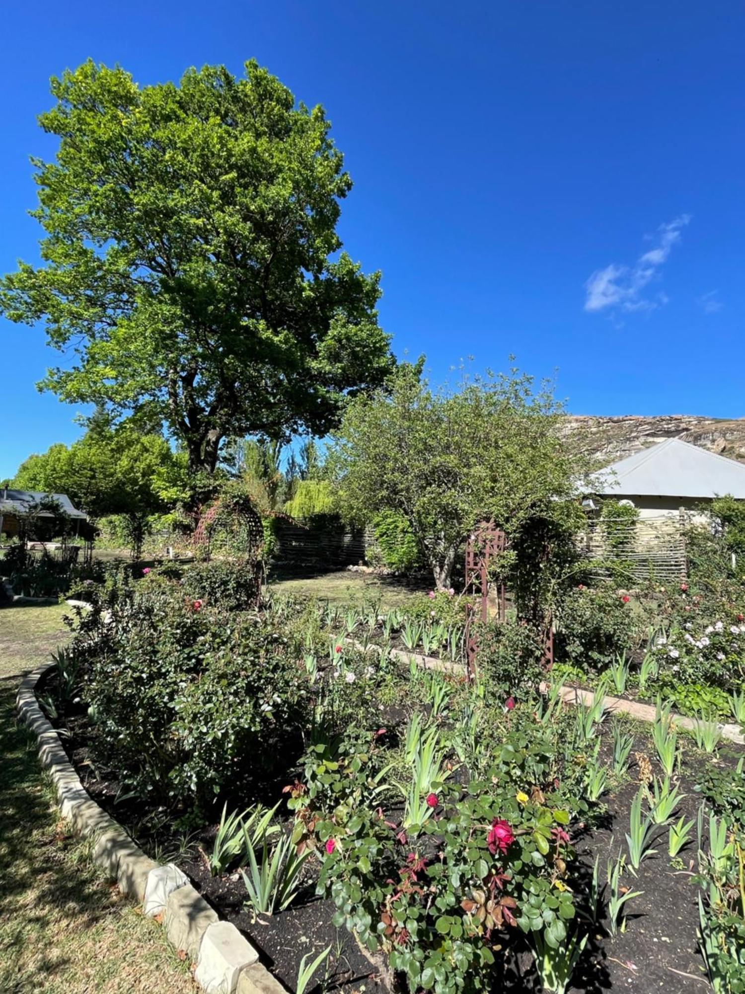 Periwinkle, Grove ,Acorn & Sage Cottages Clarens Exterior foto
