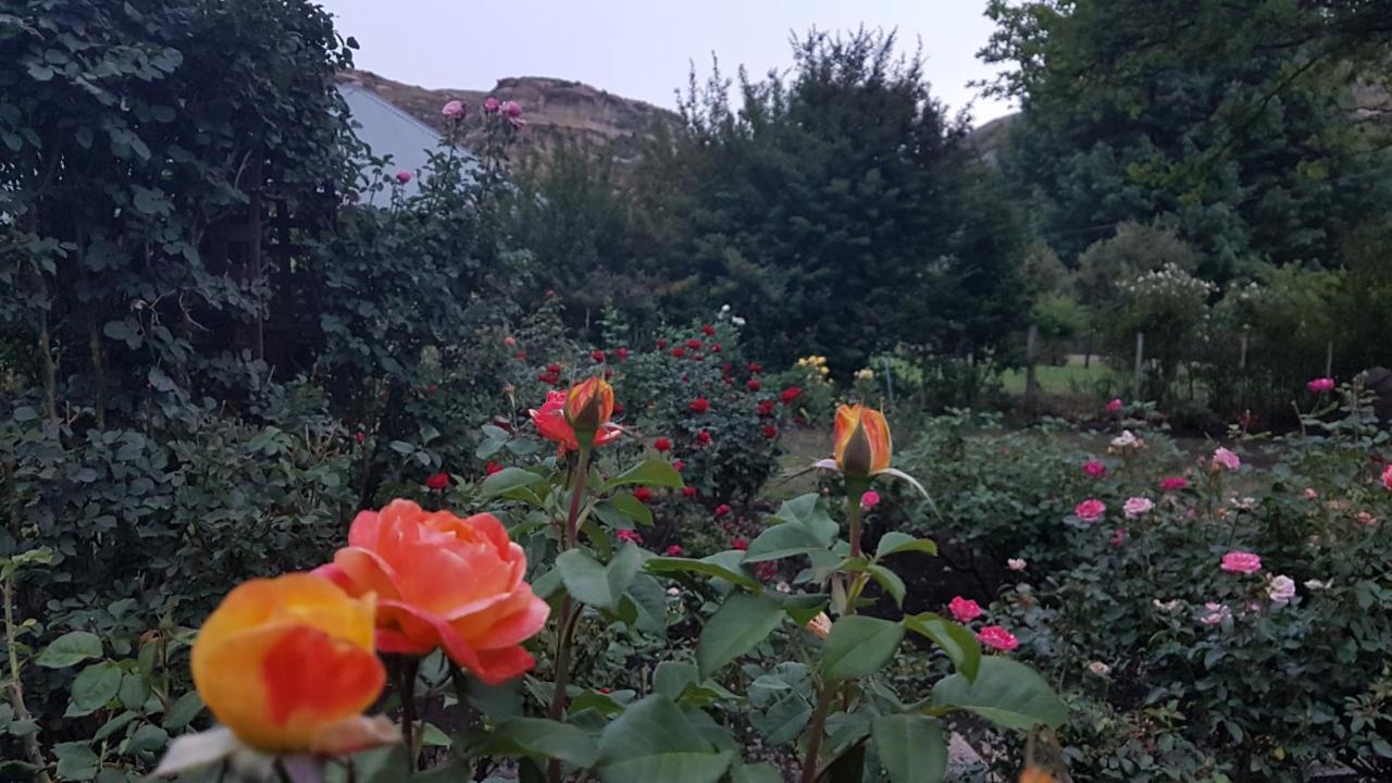 Periwinkle, Grove ,Acorn & Sage Cottages Clarens Exterior foto